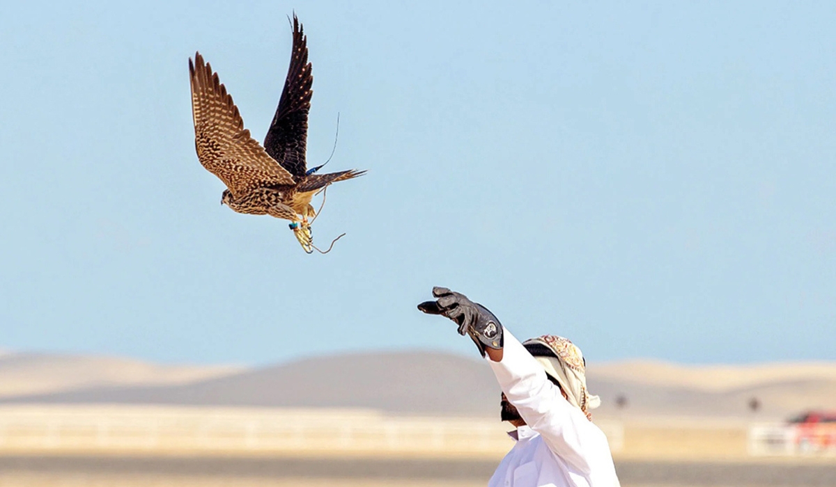 The Falcons And Hunting Festival Is Set To Start Tomorrow